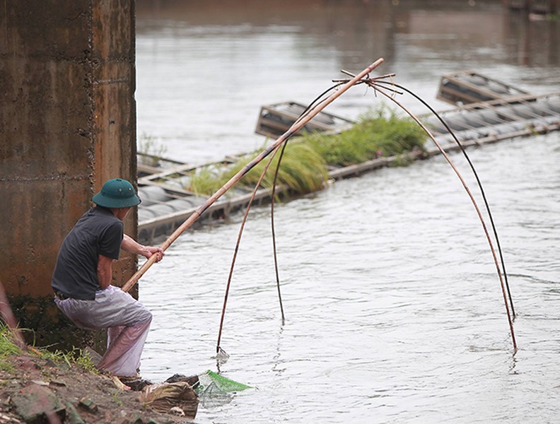 Bất chấp nguy hiểm người dân dùng kích điện bắt cá trên sông Kim Ngưu